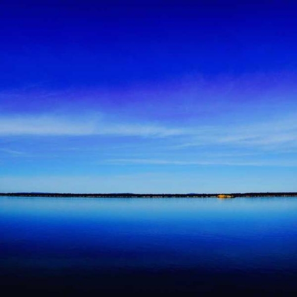 Meet your Posher, Trevor - Picture 1 of 1